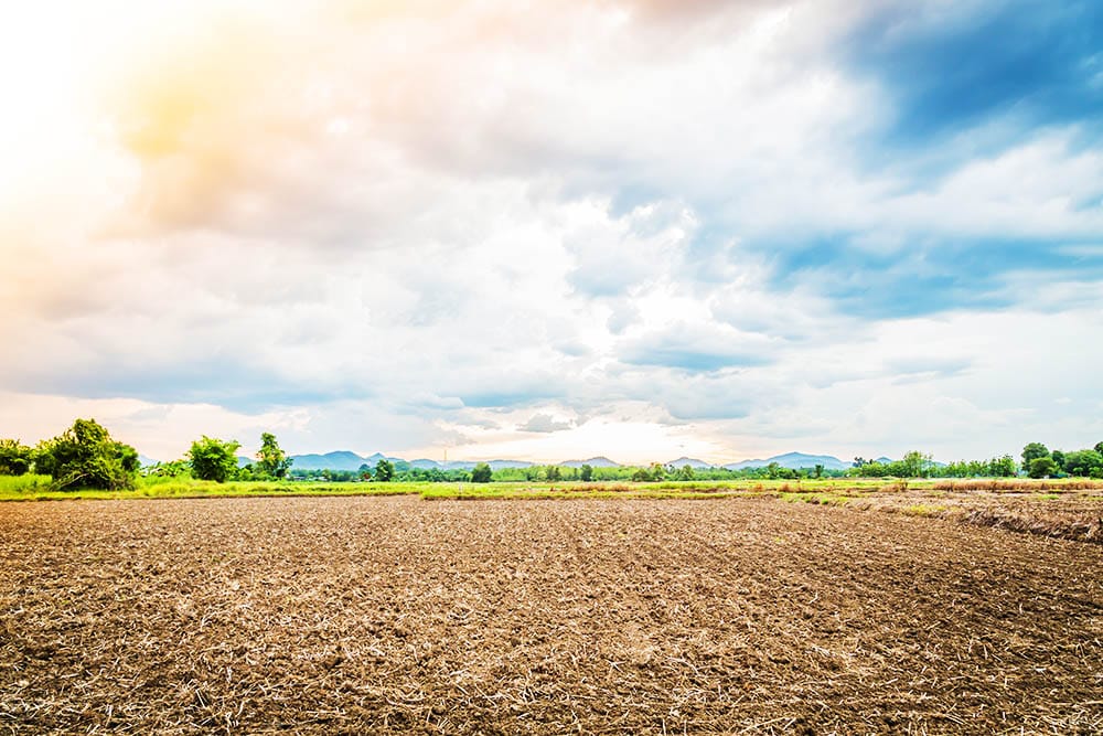 El cambio climático es una realidad que debemos enfrentar ahora